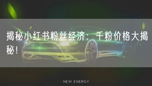 揭秘小红书粉丝经济：千粉价格大揭秘！