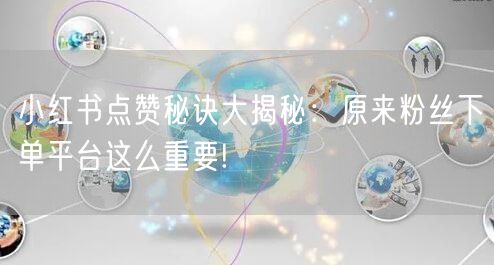 小红书点赞秘诀大揭秘：原来粉丝下单平台这