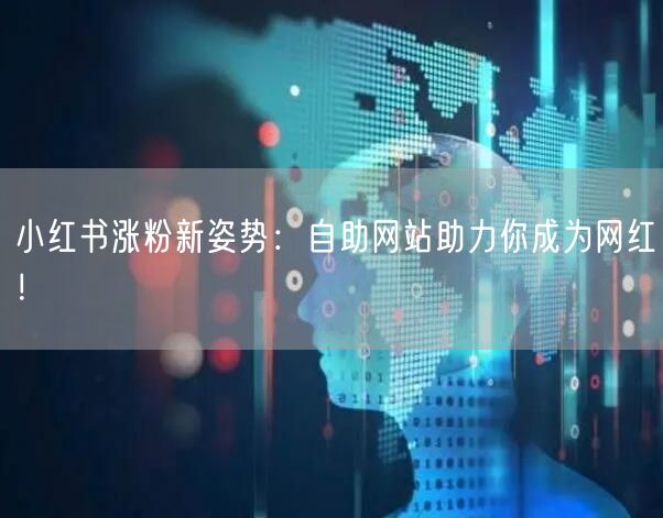 小红书涨粉新姿势：自助网站助力你成为网红！