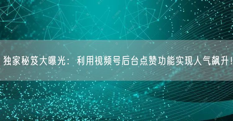 独家秘笈大曝光：利用视频号后台点赞功能实现人气飙升！