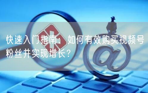 快速入门指南：如何有效购买视频号粉丝并实