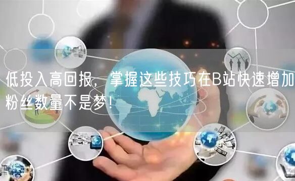 低投入高回报，掌握这些技巧在B站快速增加