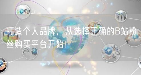 打造个人品牌，从选择正确的B站粉丝购买平台开始!