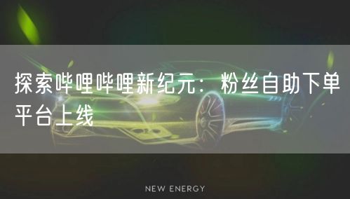 探索哔哩哔哩新纪元：粉丝自助下单平台上线