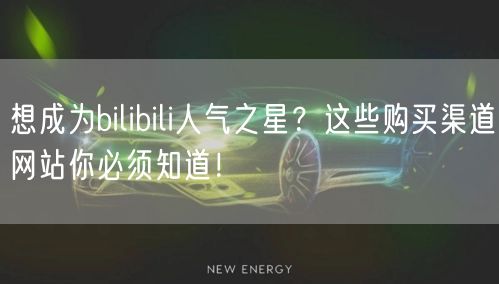 想成为bilibili人气之星？这些购买渠道网站你必须知道！