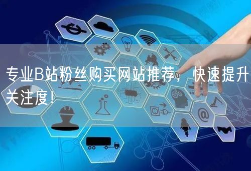 专业B站粉丝购买网站推荐，快速提升关注度！