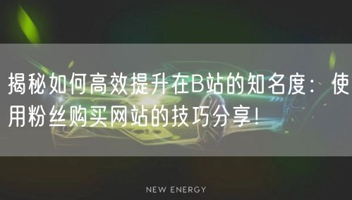 揭秘如何高效提升在B站的知名度：使用粉丝