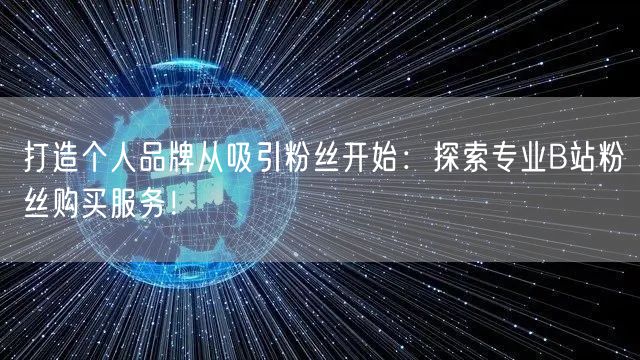 打造个人品牌从吸引粉丝开始：探索专业B站