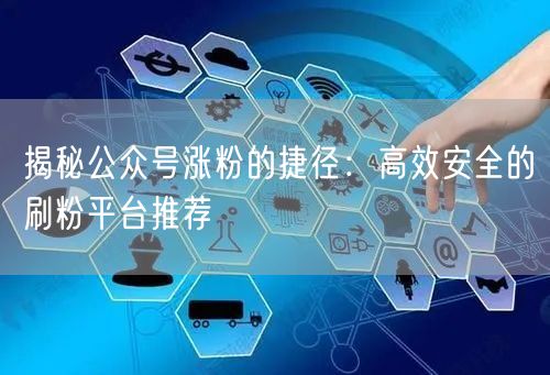 揭秘公众号涨粉的捷径：高效安全的刷粉平台